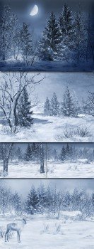 Winter Backgrounds by Olga Bor
