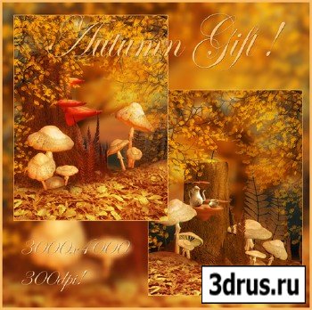 Autumn Gift Backgrounds