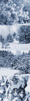 Stock Photos-Winter snow backgrounds 