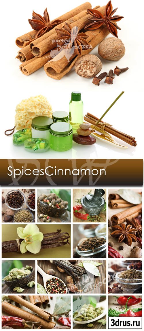 Spices Cinnamon