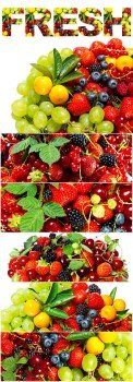 Mix of Fresh Summer Berries