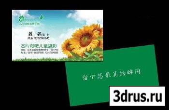 green nature business card design
