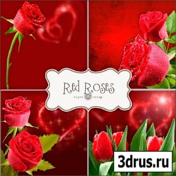 Textures - Red Roses Backgrounds #3