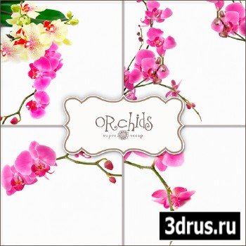 Textures - Orchids Backgrounds #3