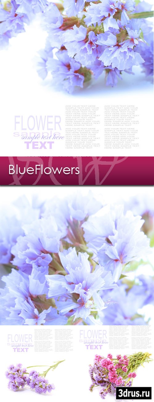 Blue Flowers 12