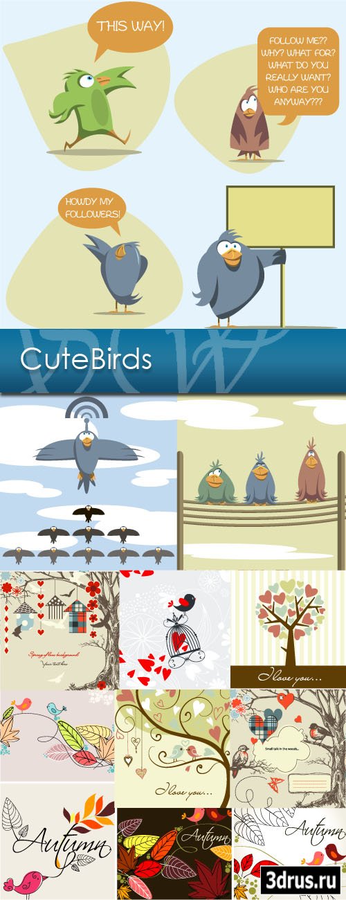 Cute Birds 17