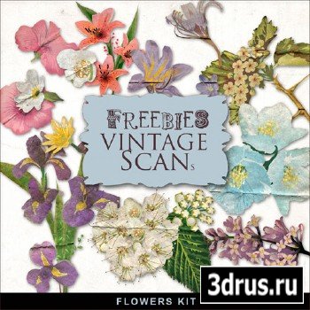 Skrap-kit Vintage beautiful Flowers
