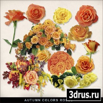 Scrap-kit - Autumn color Roses