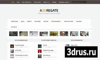 ElegantThemes - Aggregate v2.4 - WordPress Theme
