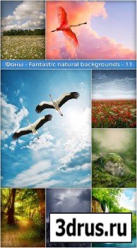 Fantastic Natural Backgrounds 11