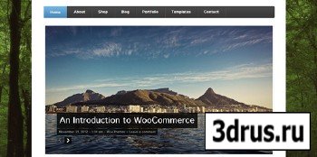 WooThemes - Function v1.0 for WordPress