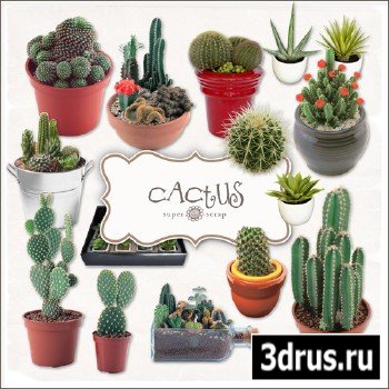 Scrap Kit - Cactus