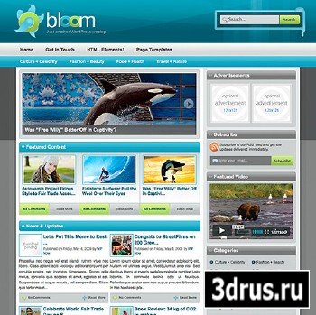 WPNow - Bloom v1.01 - WordPress Theme
