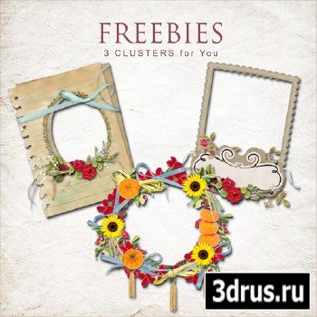 Scrap-kit - Cluster Frames With Flowers 3