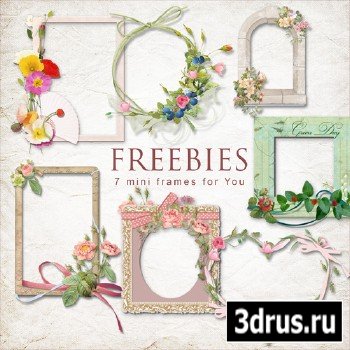 Scrap-kit - Cluster Frames With Flowers 6