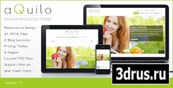 ThemeForest - Aquilo - Responsive Business HTML Template