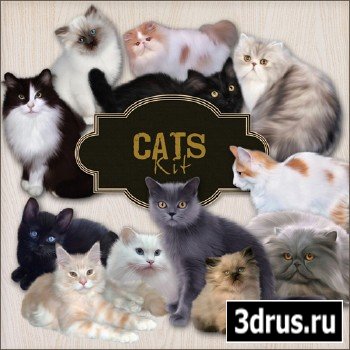 Scrap-kit - 15 Cats PNG Cliparts