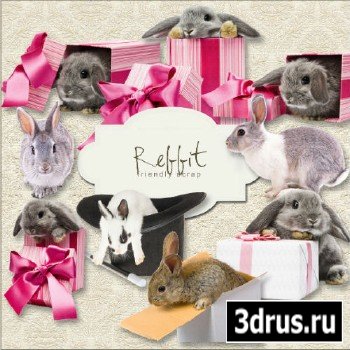 Scrap-kit - Rabbit PNG Cliparts