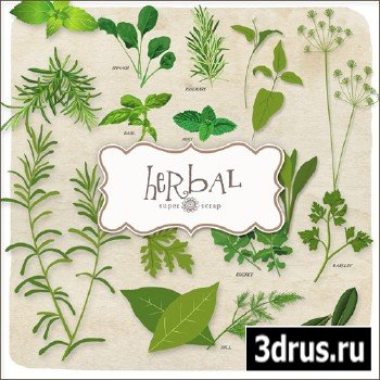 Scrap Set - Herbal PNG Files