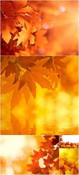 Rastr Cliparts - Autumn Backgrounds Images