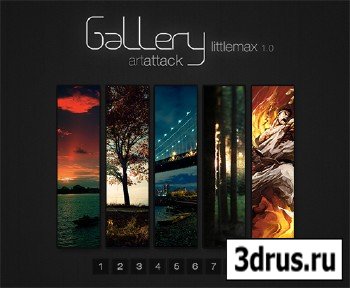 PSD Web Design - Gallery LittleMAX 1.0