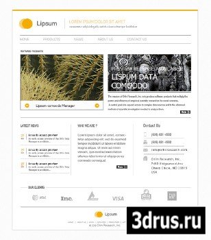 Minimal Website Design PSD Template