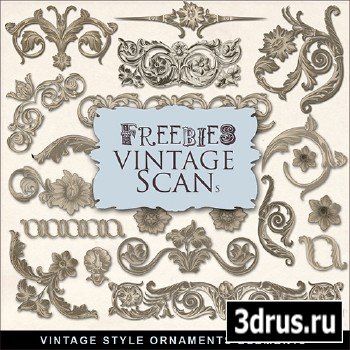Scrap-kit - Vintage Style Ornaments Elements 2013