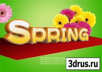PSD Source - Spring 2013 Vol.9