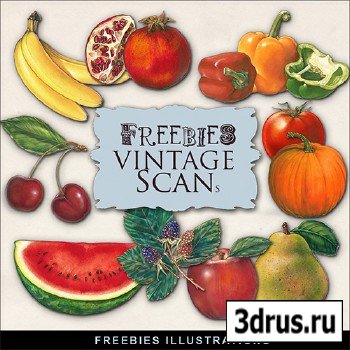 Scrap-kit - Fruit Vegetable Illustrations