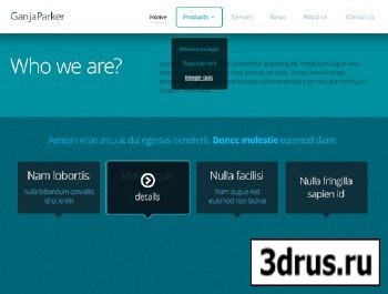 PSD Web Design - Website Content With Rollout Menu