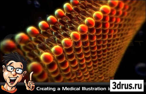 Digital-Tutors - Creating a Medical Illustration in CINEMA 4D