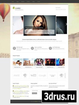 DreamTemplate - Zuveo - Responsive Website Template