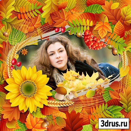 Осенняя рамка для фотошопа с красивыми листьями, пшеницей и рябиной